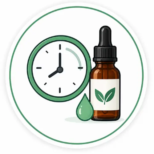 Optimale Anwendung im Tagesverlauf